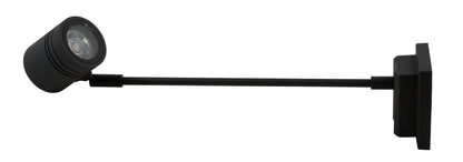 DISPLAYLEUCHTE BORNEO