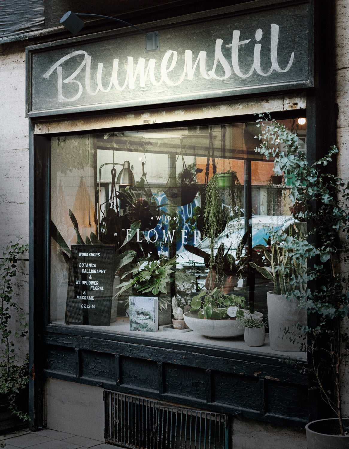 DISPLAYLEUCHTE BORNEO