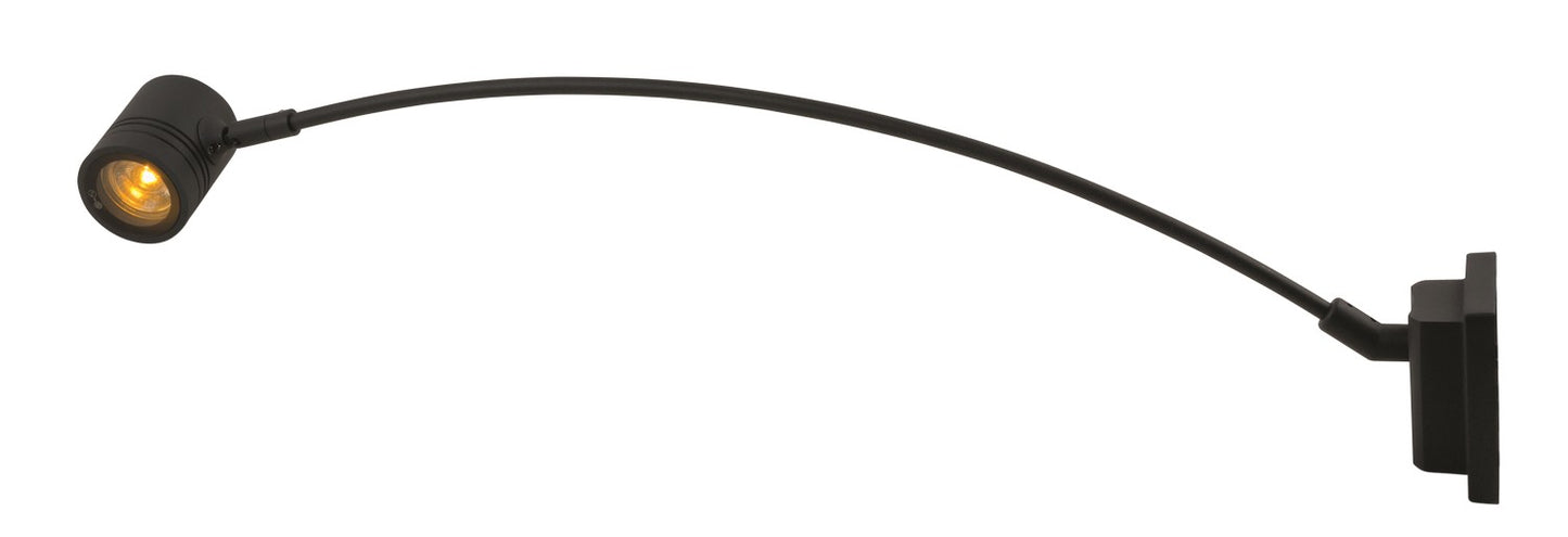 DISPLAYLEUCHTE BORNEO